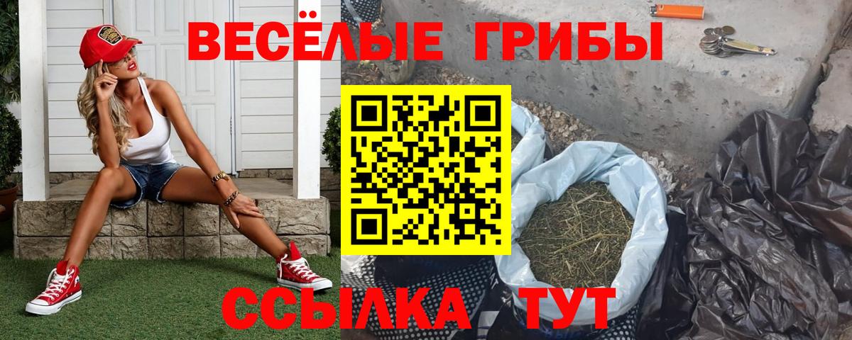 Галлюциногенные грибы Magic Shrooms Полысаево